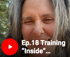 Screen Shot 2023-09-12 at 4.39.46 PM